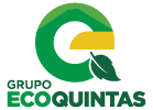 Logo básico